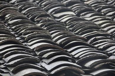 传达斯·摩尔将在《星球大战绝地：幸存者》中亮相