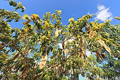 类银河恶魔城《天国守卫》Steam页面上线 支持中文